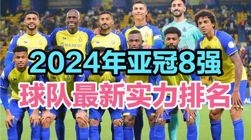 2024年足球之夜最新一期，梦想与荣耀的交响曲