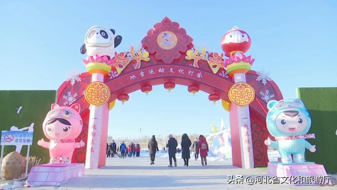 足球中心 第505页