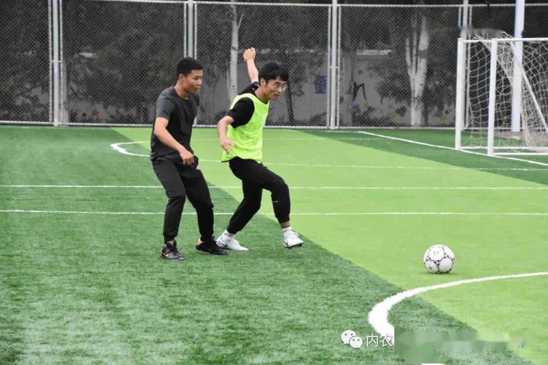直播足球比赛，在线观看的魅力与趋势