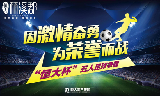 雨燕直播，解锁高清足球盛宴的免费在线观看新体验