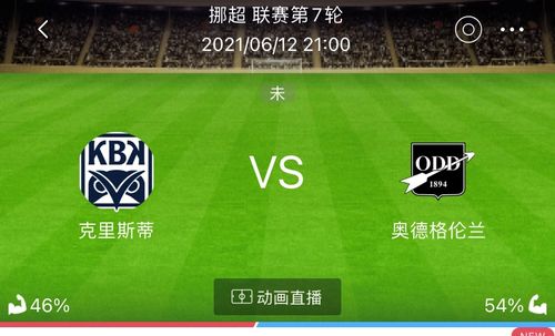 足球比赛比分结果查询，从传统到现代的全面解析