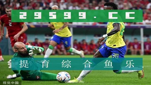 足球激情，尽在雨燕直播——免费在线观看的足球盛宴