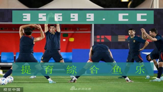 足球直播，免费视频直播雨燕的魅力与挑战