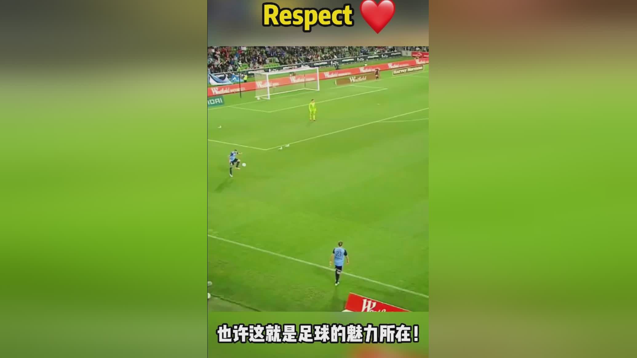 足球的复数发音与足球文化的魅力