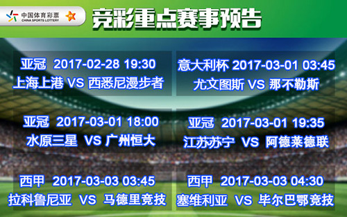 竞彩足球竞彩网，揭秘足球竞猜的魅力与风险