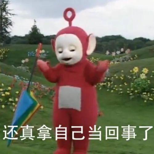 探索童年的旋律，揭秘天线宝宝主题曲中文版名称