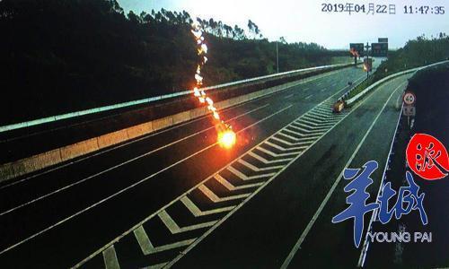 警惕！天线宝宝在线免费看中文版破解版，法律与道德的灰色地带