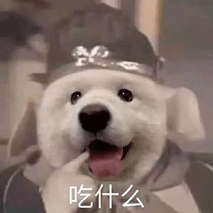 第1863页