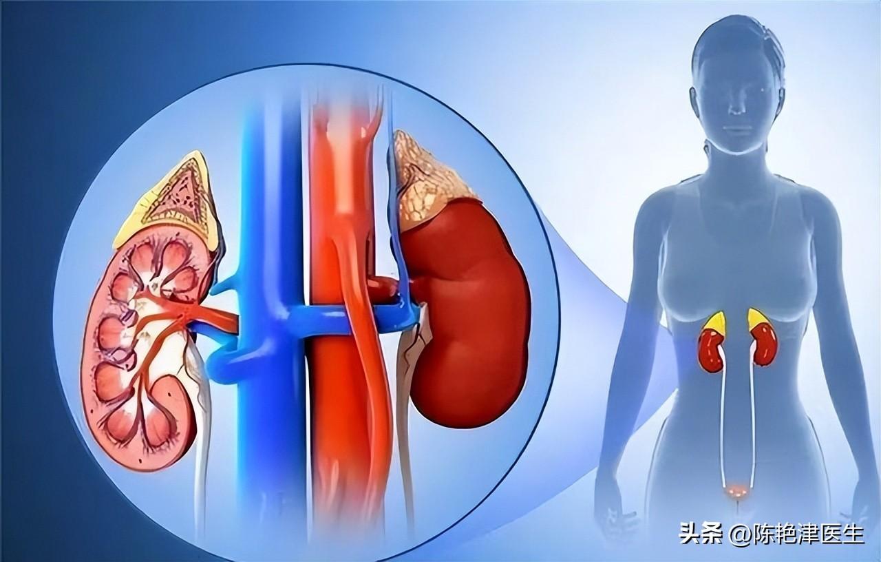 快乐与八死规律，探寻生活中的平衡与智慧