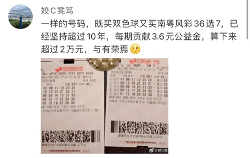 广东南粤风采36选7，探寻数字背后的奥秘与乐趣