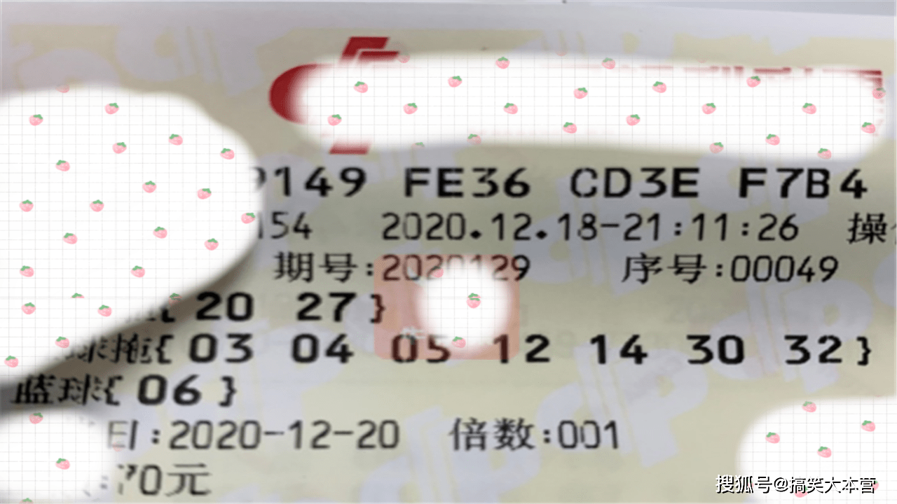 探索双色球2024096期的奇妙之旅，数字背后的幸运与希望