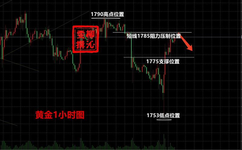 探索大乐透最近100期结果，数字背后的奥秘与趋势分析