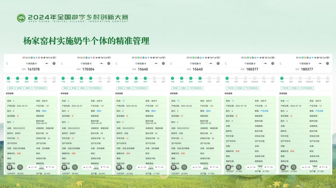 探索内蒙十一选五走势图，数字背后的奥秘与乐趣