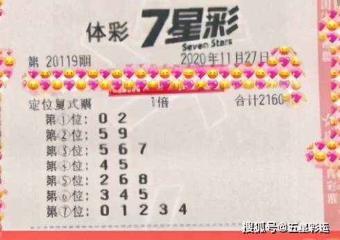 海南彩票七星彩论坛，揭秘彩票文化与理性购彩的平衡之道