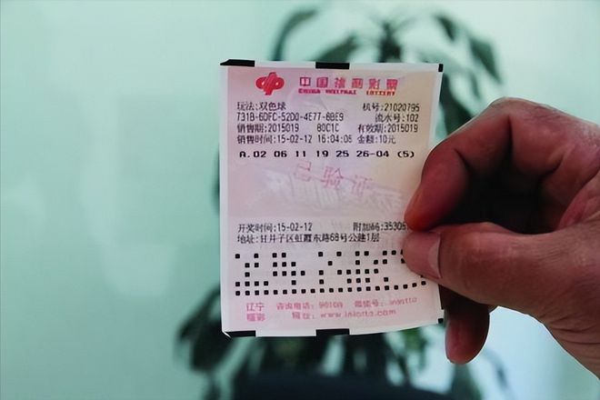 今日彩票开奖结果揭秘，梦想与现实的交汇