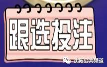 探索中国福利彩票双色球，揭秘结果查询的奥秘