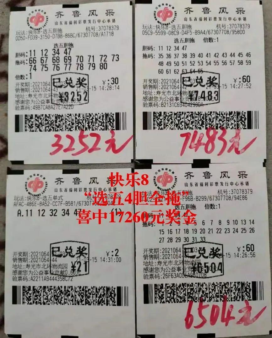 广东十一选五开奖结果走势图，数字背后的奥秘与理性投注策略