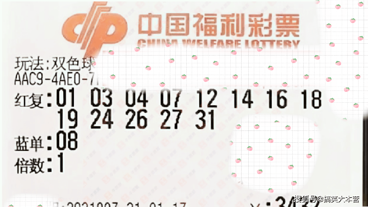 2024019期双色球开奖结果揭晓，梦想与幸运的碰撞