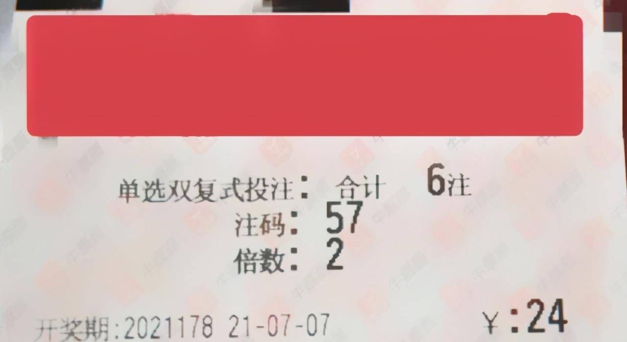 福彩3D开奖号码查询，揭秘数字背后的幸运与希望