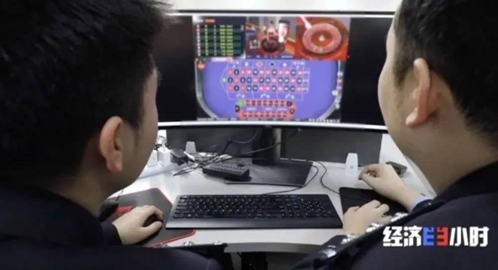 彩票棋牌软件游戏，娱乐与风险的双重世界
