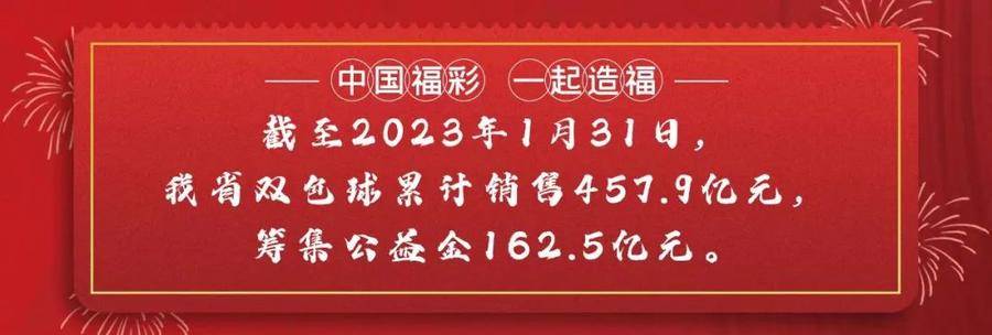 2013年双色球2036期开奖揭晓，梦想与奇迹的碰撞