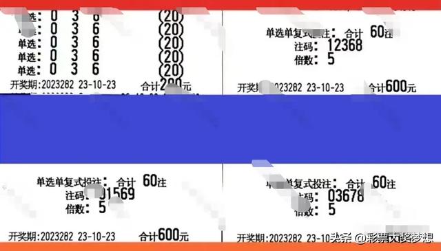 3D彩票，今日开奖的数字游戏与期待