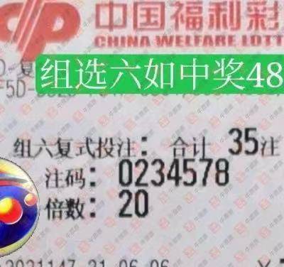 直选单挑，3D彩票的勇气与智慧