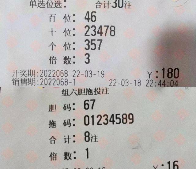 探索中国福彩3D，揭秘开奖号码的奥秘与乐趣