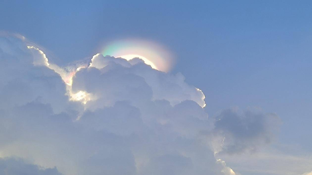 第1487页