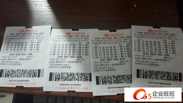 彩票开奖号码查询结果，理性与幸运的碰撞