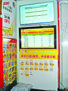 十大专家杀号汇总，揭秘彩票选号的智慧与误区