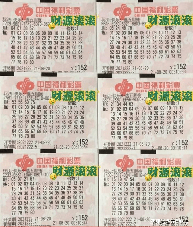 今日福彩3D正版藏机图丹东全图，揭秘彩票背后的智慧与乐趣