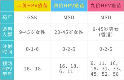 第1664页