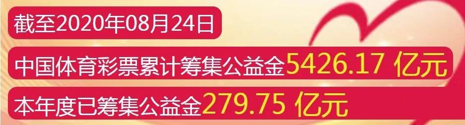 体育彩票与足球比赛结果的奇妙交织，理性投注与激情碰撞