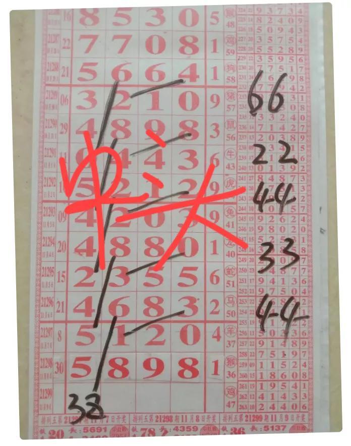 排列五今日开奖号码，揭秘数字背后的奥秘与乐趣