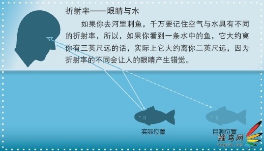 探索天中图库，揭秘胆码图与数字背后的奥秘