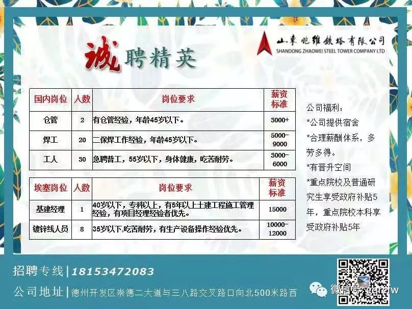 招聘信息，东港信息网引领人才与机遇的完美对接