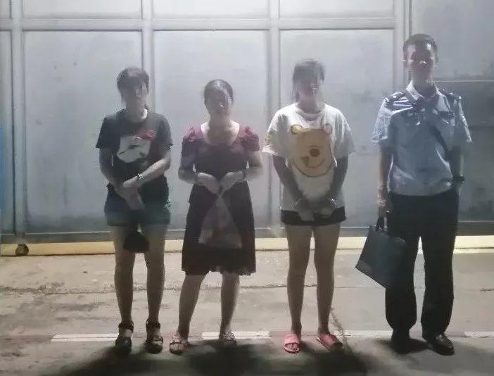 2019年全年开奖结果查询记录表，回顾与解析