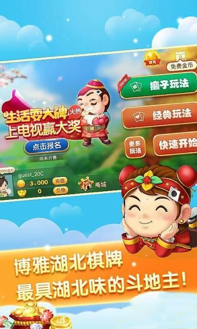 探索双色球在线随机，数字游戏的乐趣与理性选择