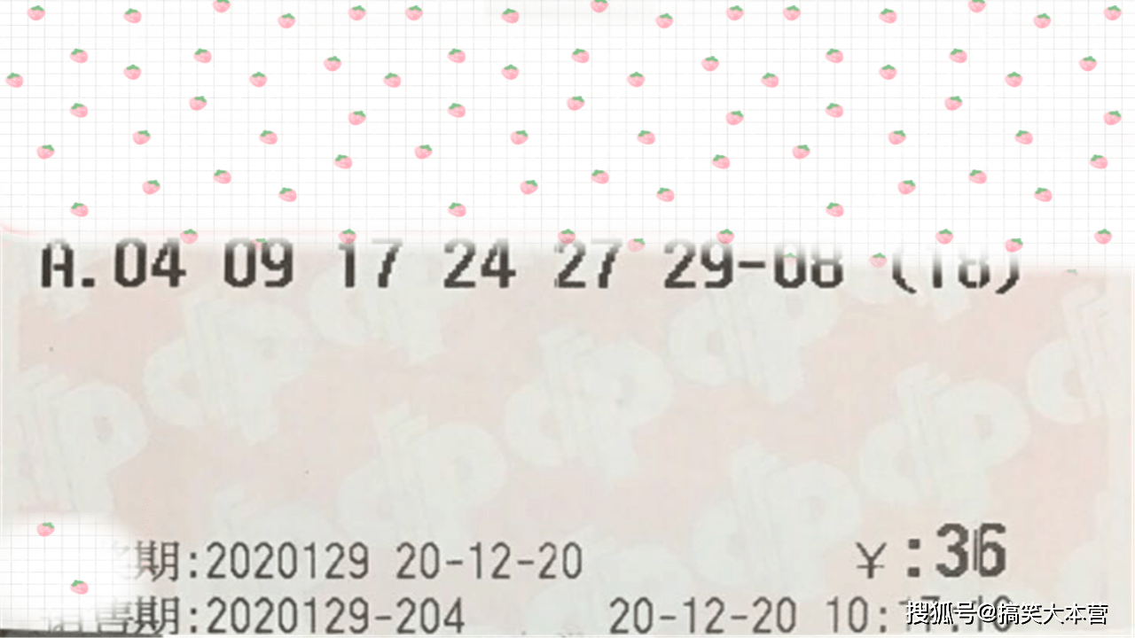 2020086期双色球开奖结果深度解析，幸运与希望的交汇