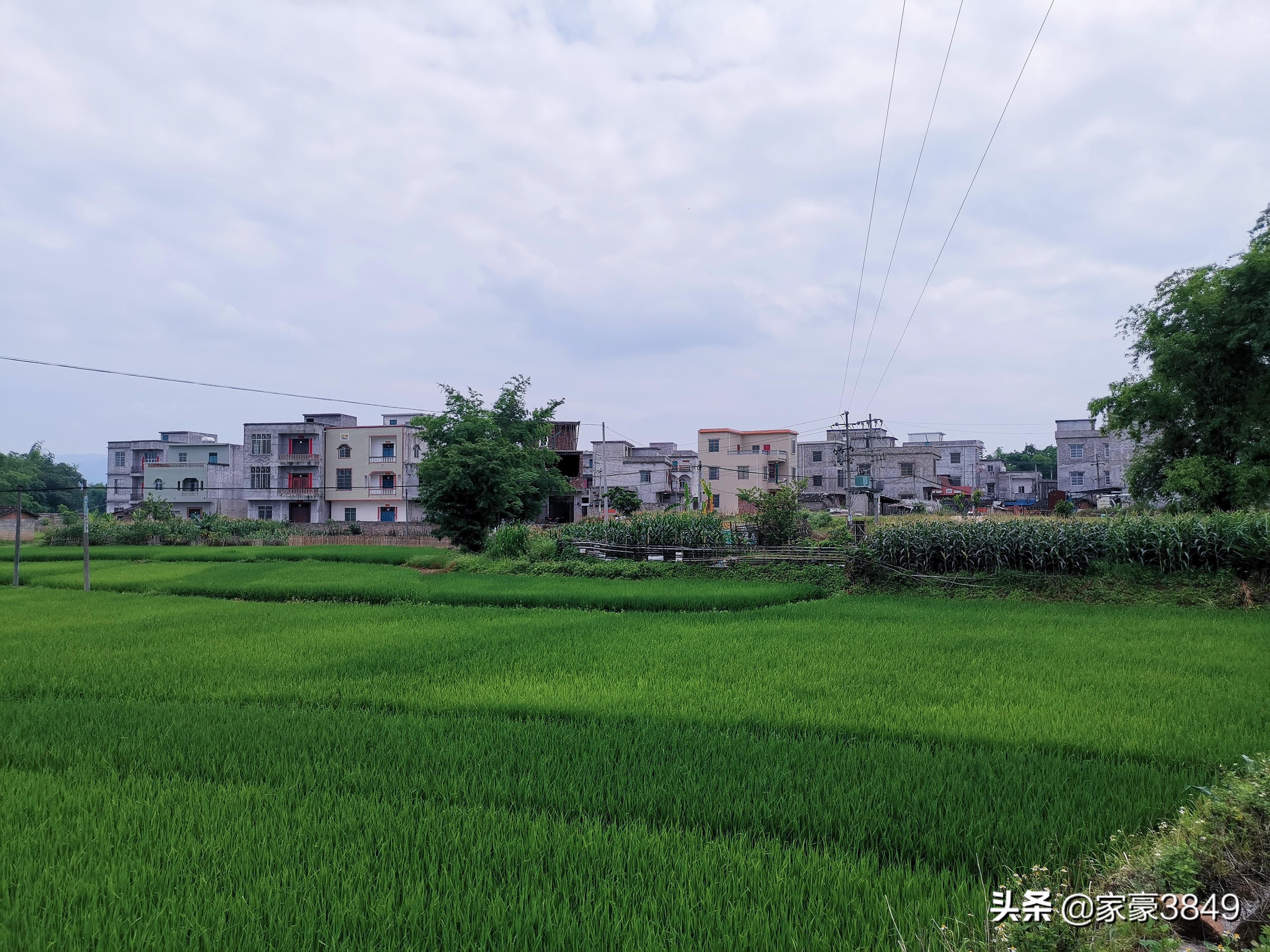广西福彩快乐8，梦想与幸运的交响曲