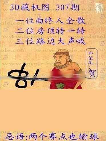 今日3D藏机天中图库，探索数字世界的奥秘与乐趣