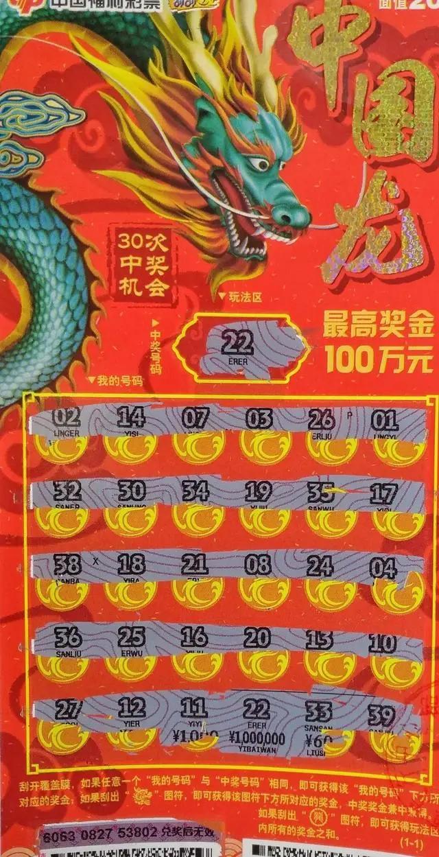 探索中国体彩网双色球，揭秘开奖结果与公益力量