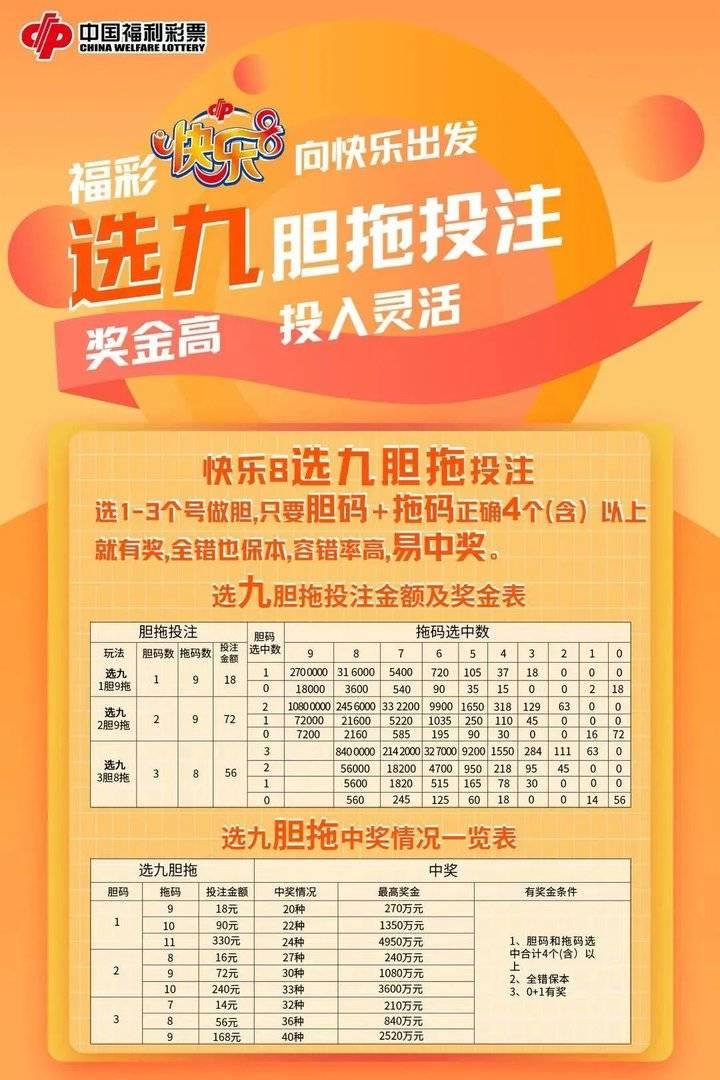 大乐透胆拖投注，解锁中奖秘籍，360度无死角计算器助你一臂之力