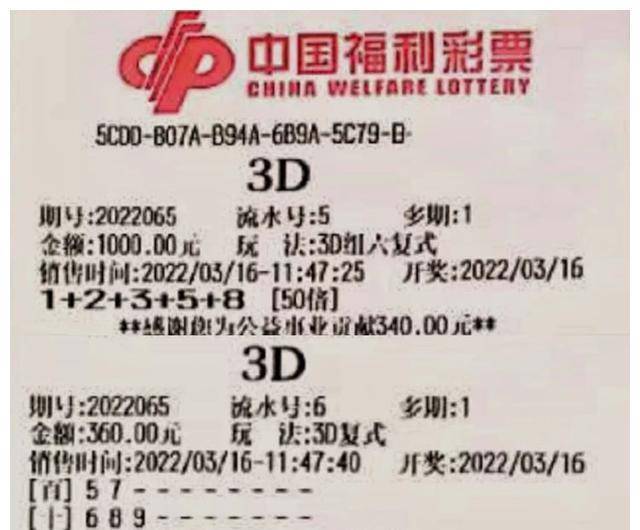 福利彩票3D结果查询，揭秘背后的乐趣与责任