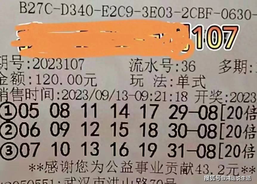 乐彩论坛17500开奖号，揭秘数字背后的幸运与智慧