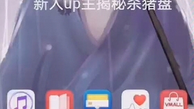揭秘4887王中王宝典，揭秘赌博背后的真相与警示