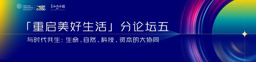 彩排列三与排列五，为彩论坛的数字游戏与策略探讨