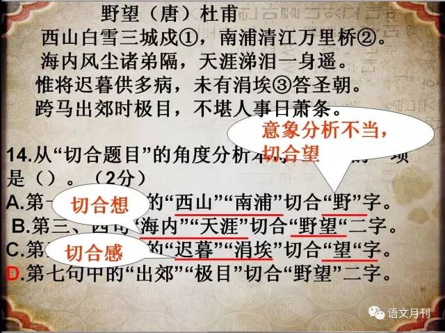探索双色球预测的诗字谜，揭秘数字背后的艺术与智慧