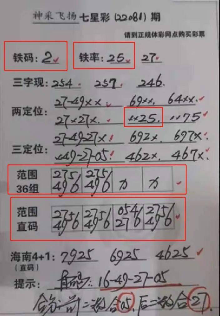 码看三七双定码，解码数字彩票的奥秘